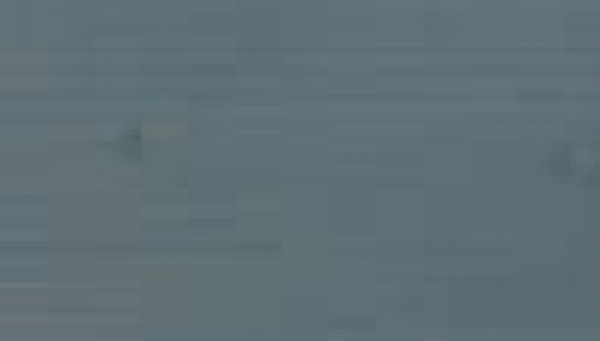 Koralan Vergrauungslasur